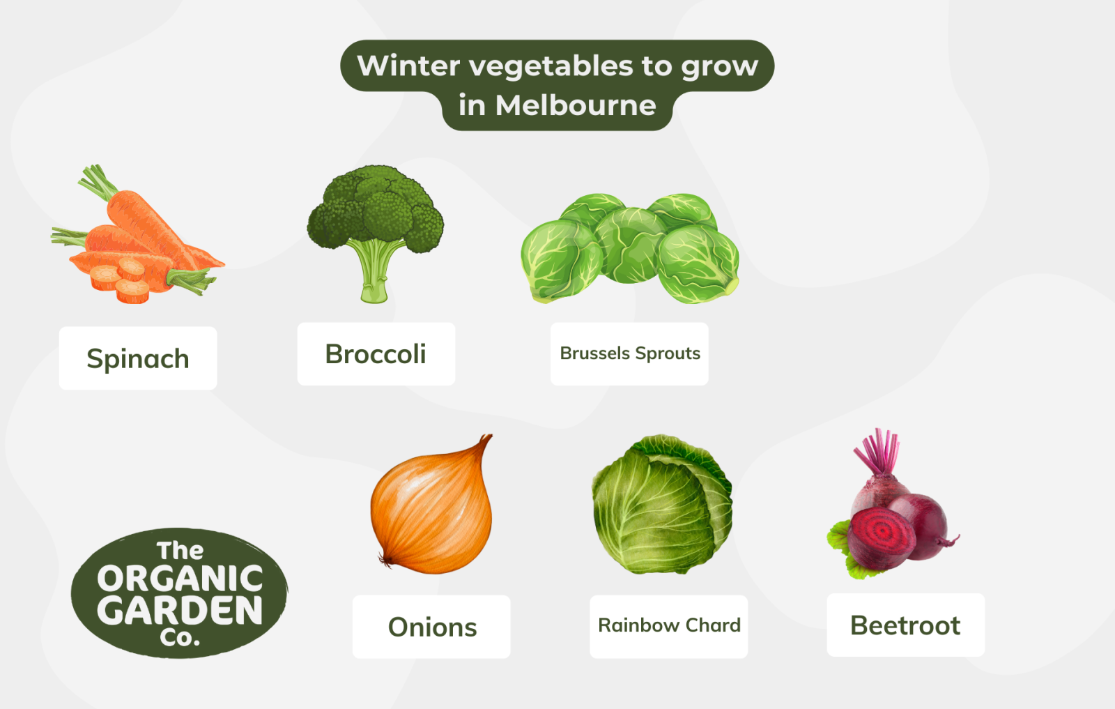 What To Plant In Winter Melbourne Edition